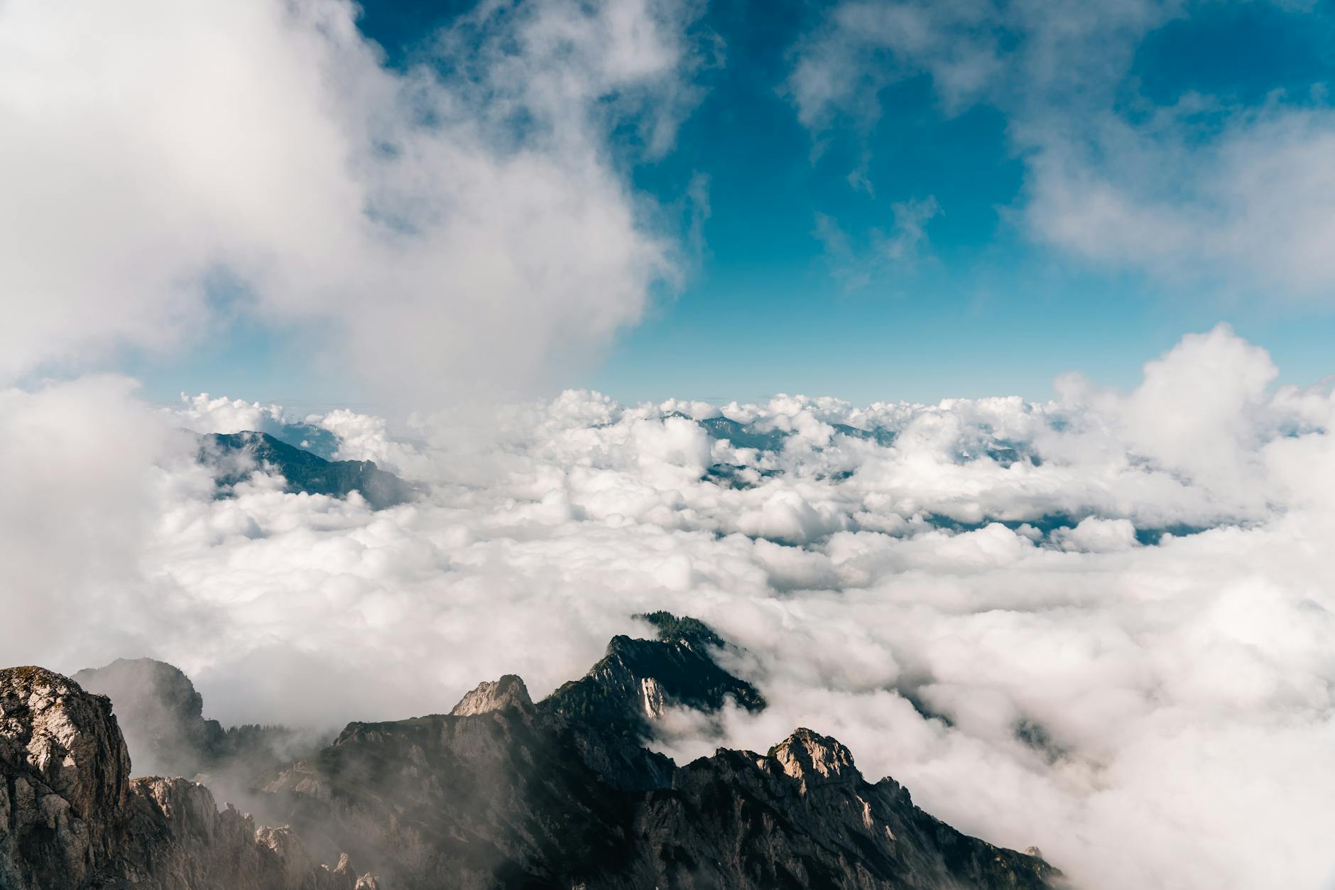 Szczyty gór Huangshan wynurzające się z morza chmur pod błękitnym niebem