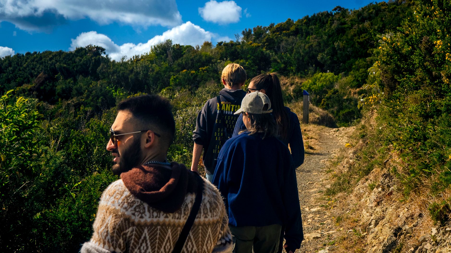 Grupa na malowniczym szlaku w Wellington, Nowa Zelandia Grupa na malowniczym szlaku w Wellington, Nowa Zelandia